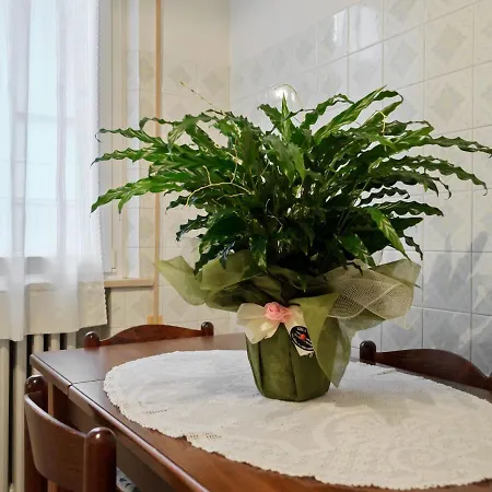 Apartement In Cattolica Only 600 Metres From The Sea * Cattolica